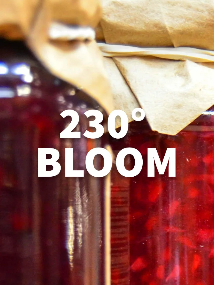 230 bloom jpg