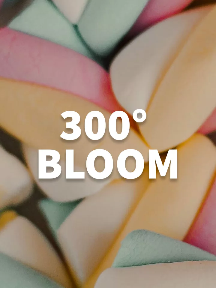 300 bloom 2 jpg